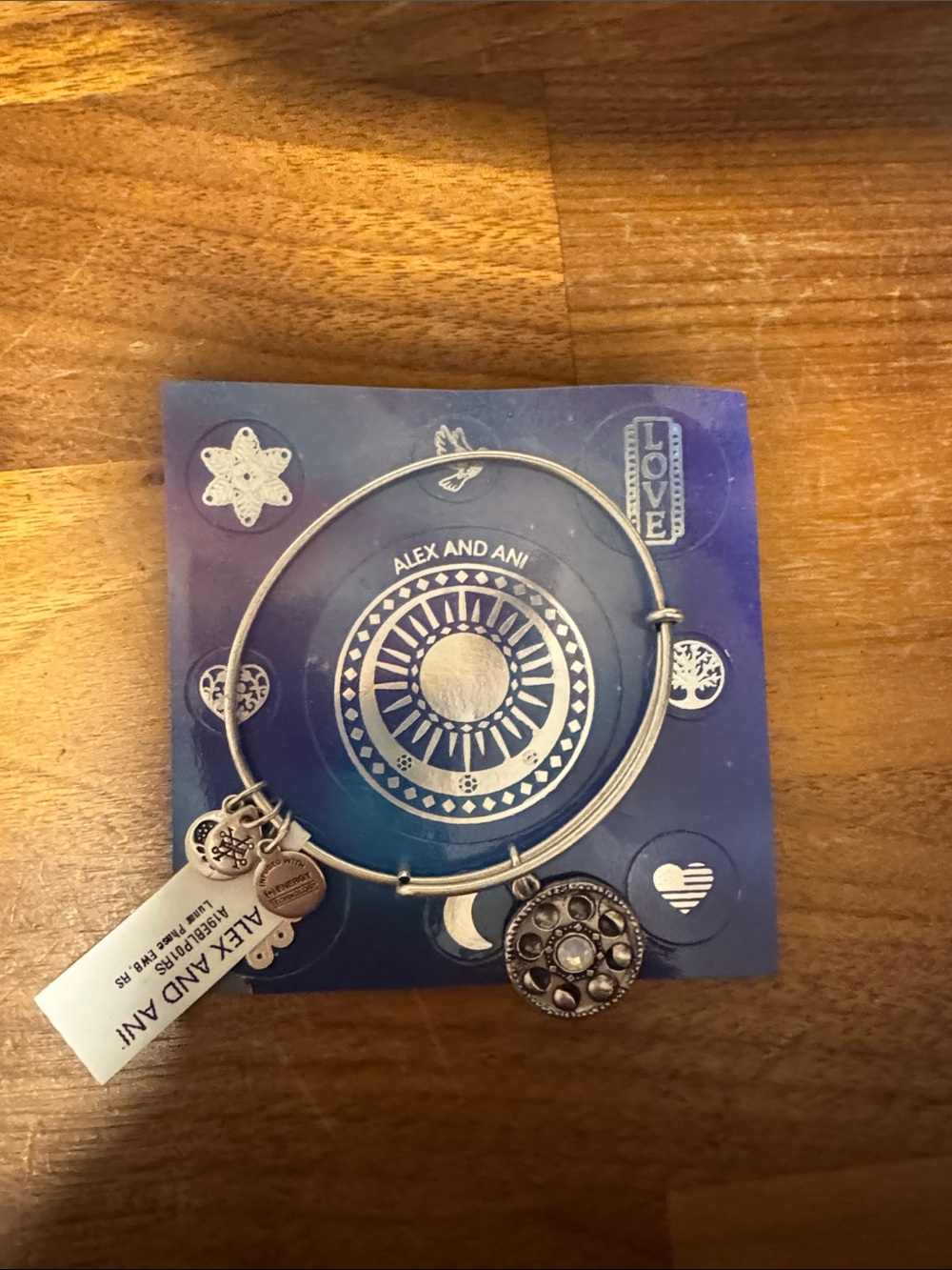 Alex and Ani Silver Tone Celestial Charm Expandable Bangle